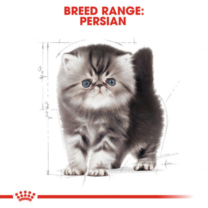 Royal Canin Feline Breed Nutrition (Persian Kitten)