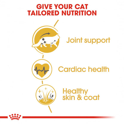 Royal Canin Feline Breed Nutrition (Maine Coon Adult) - 2kg (Near Expiry)