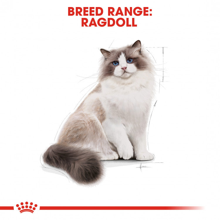 Feline Breed Nutrition (Ragdoll Adult) - 2kg