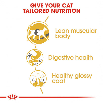 Royal Canin Feline Breed Nutrition (Siamese Adult) - 2kg