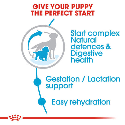 Royal Canin Size Health Nutrition (Medium Starter) - 4kg