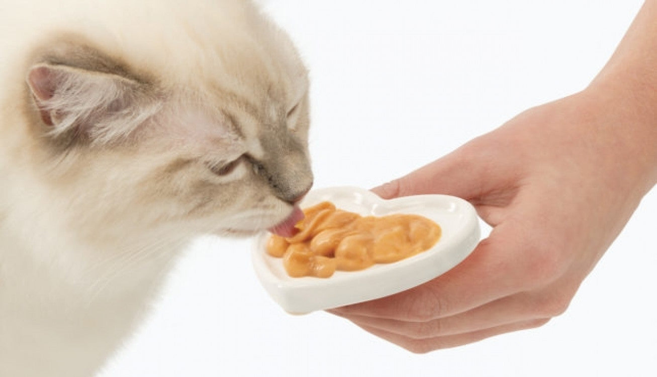 Catit Creamy Lickable Treats - Chicken