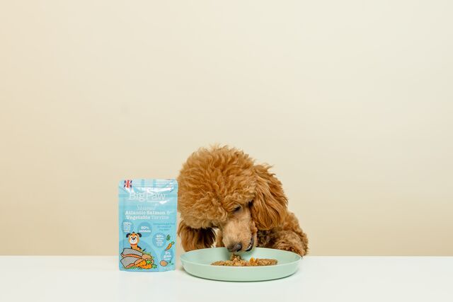 Little Big Paw Salmon & Vegetable Dinner - 150g