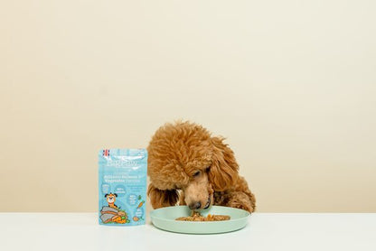 Little Big Paw Salmon & Vegetable Dinner - 150g