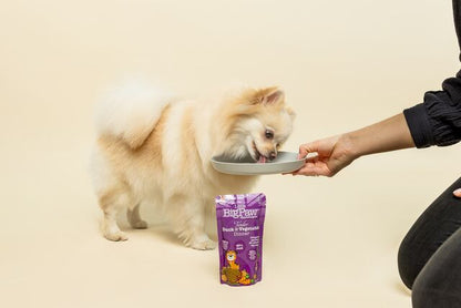 Little Big Paw Duck & Vegetable Dinner - 150g